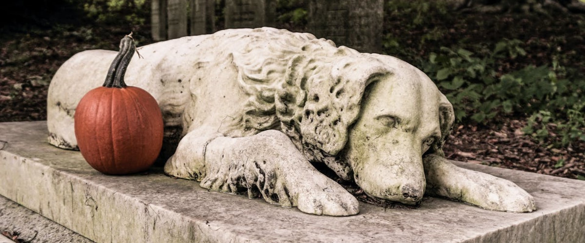 How Does A Body In Concrete at Patricia Barkman blog