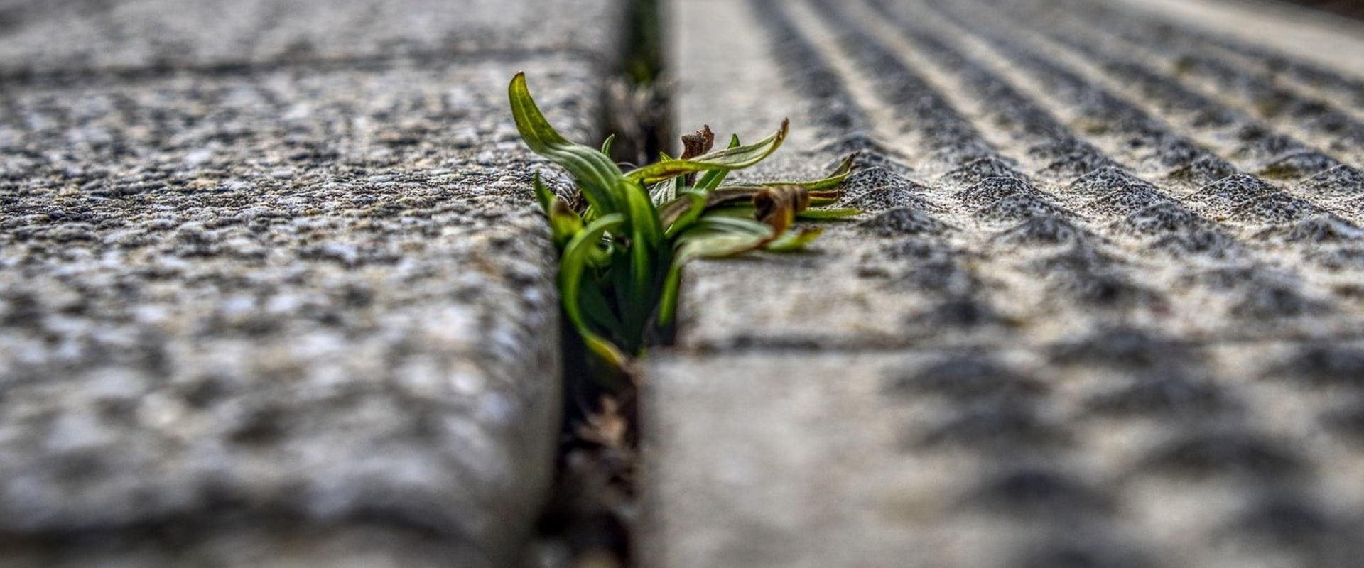 The Environmental Impact of Concrete What You Need to Know