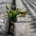 The Environmental Impact of Concrete: What You Need to Know